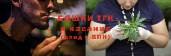 a pvp Пересвет