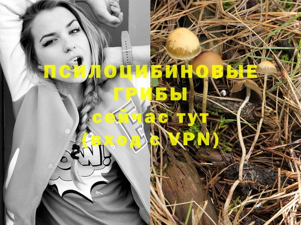 прущая мука Остров