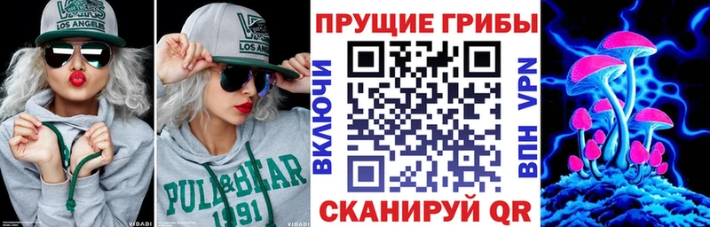 ОМГ ОМГ как зайти  дарнет шоп  Кингисепп  Псилоцибиновые грибы Psilocybe 