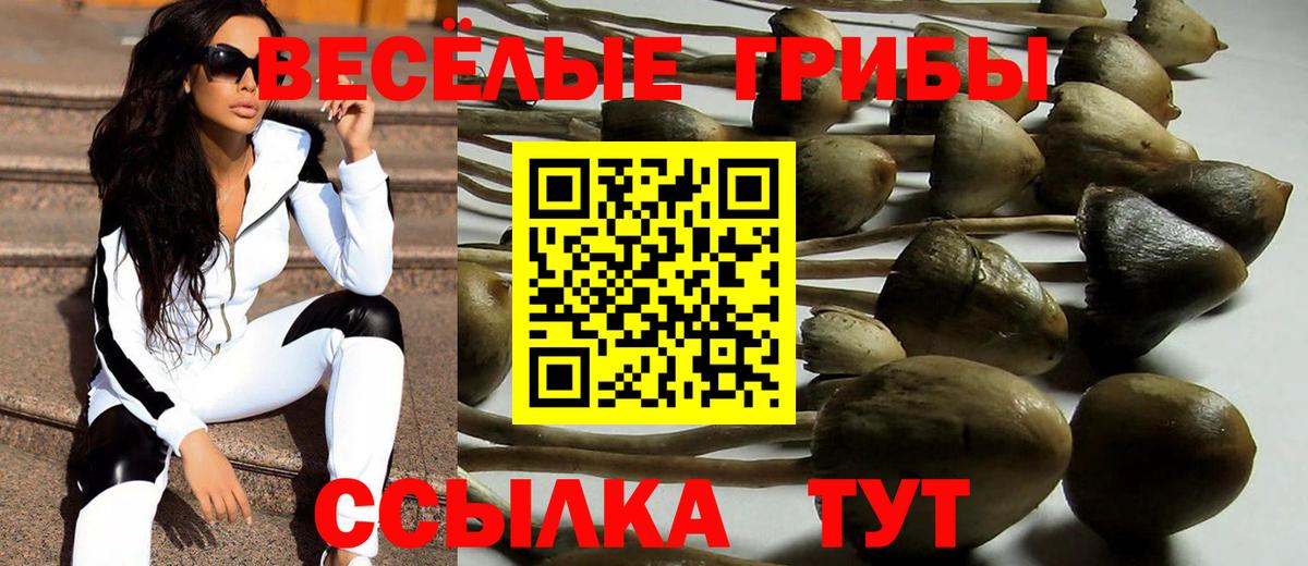 Псилоцибиновые грибы мухоморы  Кингисепп  Псилоцибиновые грибы мицелий 