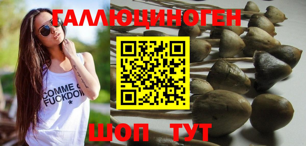Кингисепп  Галлюциногенные грибы мухоморы  Псилоцибиновые грибы Psilocybine cubensis  Вход с VPN 